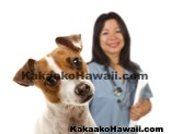 Kakaako Animal Pet Services and Resources - Honolulu, Hawaii