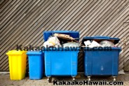 Bulky Curbside Items Pick Up Kakaako Hawaii 96814