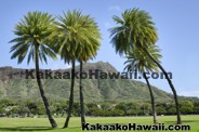 Historic Sites - Kakaako - Honolulu, Hawaii