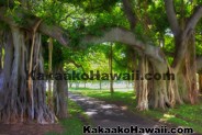 Kakaako Historic Trail - Honolulu, Hawaii