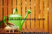Kakaako Home and Garden - Honolulu, Hawaii