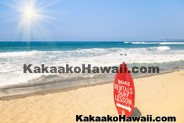 Lectures & Workshops - Kakaako - Honolulu, Hawaii