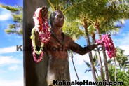Landmarks - Kakaako - Honolulu, Hawaii