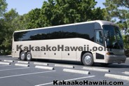 Tours & Transportation Services - Kakaako - Honolulu, Hawaii