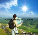 Visitor Information & Guides - Kakaako - Honolulu, Hawaii